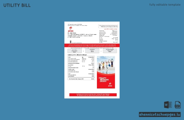 Beispielrechnung für indische Airtel-Telekommunikationsdienste (Vorschau)